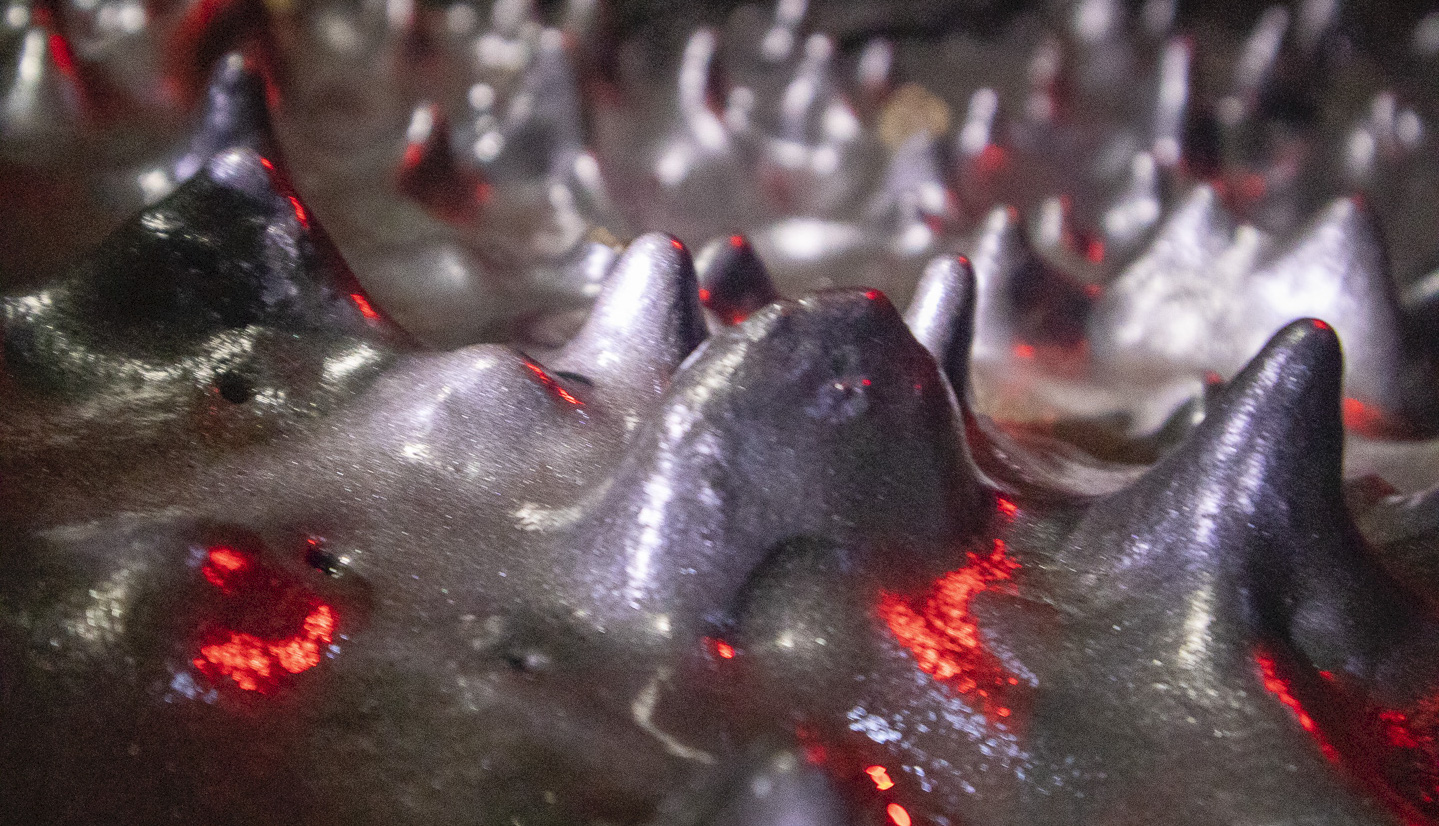 Inside a lava tube on Hawai'i (Personal collection)